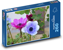 Anemone - flower, garden Puzzle 260 pieces - 41 x 28.7 cm