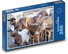 Goats - farm, animals Puzzle 260 pieces - 41 x 28.7 cm 