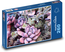 Sukulenty - kaktusy, kwiaty Puzzle 260 elementów - 41x28,7 cm