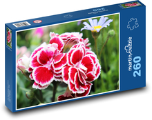Karafiát - květina, jaro Puzzle 260 dílků - 41 x 28,7 cm
