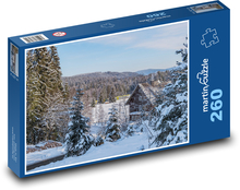 House in the forest - winter, train Puzzle 260 pieces - 41 x 28.7 cm 