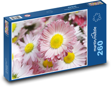 Daisies - flowers, garden Puzzle 260 pieces - 41 x 28.7 cm