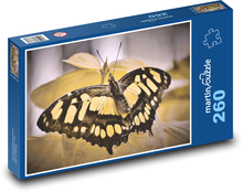 Butterfly - exotic flower, insect Puzzle 260 pieces - 41 x 28.7 cm 