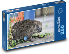 Hedgehog - wild animal, mammal Puzzle 260 pieces - 41 x 28.7 cm 