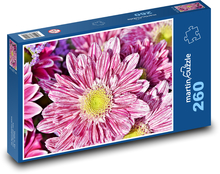 Astra - květina, rostlina Puzzle 260 - 41x28,7 cm