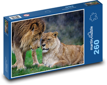 Lev a lvice - zvířata, Afrika  Puzzle 260 dílků - 41 x 28,7 cm