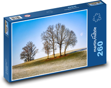 Stromy - zima, sníh Puzzle 260 dílků - 41 x 28,7 cm