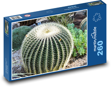 Kaktus - pichľavá rastlina, kvet Puzzle 260 dielikov - 41 x 28,7 cm 