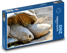 Żółw olbrzymi - gad, zoo Puzzle 260 elementów - 41x28,7 cm