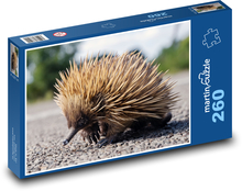 Ježko - divé zviera, cicavec Puzzle 260 dielikov - 41 x 28,7 cm 