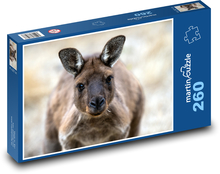 Klokan - zvíře, Austrálie Puzzle 260 dílků - 41 x 28,7 cm