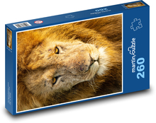 Lev - divoké zvíře, savec Puzzle 260 dílků - 41 x 28,7 cm
