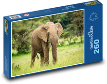 Africký slon - zviera, savana Puzzle 260 dielikov - 41 x 28,7 cm