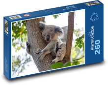 Koala - medvedík, zviera Puzzle 260 dielikov - 41 x 28,7 cm