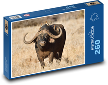 Buffalo - wild animal, savanna Puzzle 260 pieces - 41 x 28.7 cm 