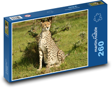 Gepard - divoká zvěř, Afrika Puzzle 260 dílků - 41 x 28,7 cm