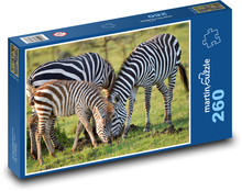 Zebra - pruhované zvíře, savec  Puzzle 260 dílků - 41 x 28,7 cm