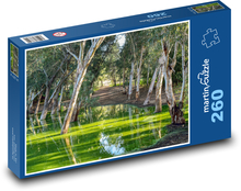 Jezero - stromy, les Puzzle 260 dílků - 41 x 28,7 cm