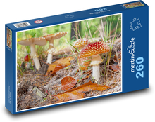 Hliva - hríb, les Puzzle 260 dielikov - 41 x 28,7 cm 
