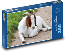 Domácí koza - rohy, zvíře Puzzle 260 dílků - 41 x 28,7 cm