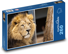 Löwe - Mähne, Tier Puzzle 260 Teile - 41 x28,7 cm