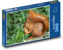 Squirrel - walnut, wild game Puzzle 260 pieces - 41 x 28.7 cm 