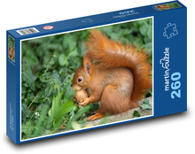 Squirrel - walnut, wild game Puzzle 260 pieces - 41 x 28.7 cm