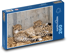 Gepardi - kočkovité šelmy, zvířata Puzzle 260 dílků - 41 x 28,7 cm