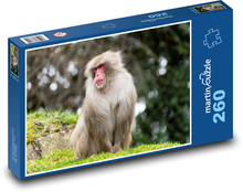Opice - savec, zoo Puzzle 260 dílků - 41 x 28,7 cm
