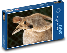 Kangaroo - Australia, marsupial Puzzle 260 pieces - 41 x 28.7 cm 