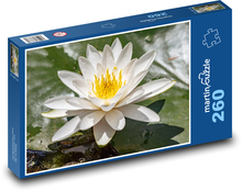 Kwitnąca lilia wodna - roślina, woda Puzzle 260 elementów - 41x28,7 cm