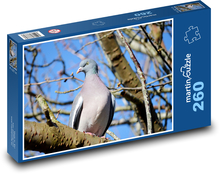 Dove - bird, feather Puzzle 260 pieces - 41 x 28.7 cm 