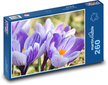 Crocuses - flower, spring Puzzle 260 pieces - 41 x 28.7 cm 