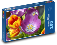 Tulipány - květ, jaro  Puzzle 260 dílků - 41 x 28,7 cm