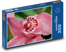Orchidej - květ, rostlina Puzzle 260 dílků - 41 x 28,7 cm
