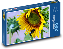 Sunflower - flower, flower Puzzle 260 pieces - 41 x 28.7 cm