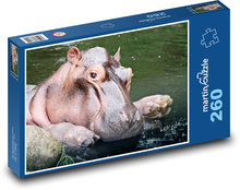 Hroch vo vode - zviera, cicavec Puzzle 260 dielikov - 41 x 28,7 cm 