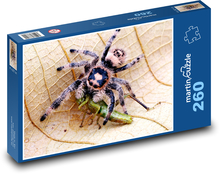 Pavúk - zviera, list Puzzle 260 dielikov - 41 x 28,7 cm