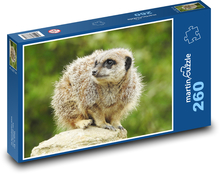 Surikata - zviera, cicavec Puzzle 260 dielikov - 41 x 28,7 cm 