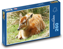 Deer - colossus, cub Puzzle 260 pieces - 41 x 28.7 cm 