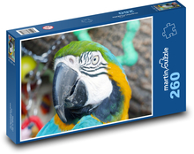 Ara parrot - animal, bird Puzzle 260 pieces - 41 x 28.7 cm 
