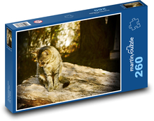 Kočka - domácí zvíře, mazlíček Puzzle 260 dílků - 41 x 28,7 cm