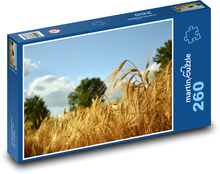 Obilné pole - jačmeň, krajina Puzzle 260 dielikov - 41 x 28,7 cm 