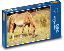 Kobyla - kůň, zvíře Puzzle 260 dílků - 41 x 28,7 cm