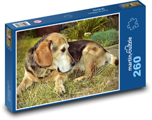 Hund - Beagle, Tier Puzzle 260 Teile - 41 x28,7 cm