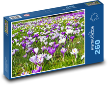 Krokus - květina, rozkvetvá louka Puzzle 260 dílků - 41 x 28,7 cm