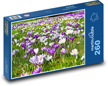 Krokus - Blume, blühende Wiese Puzzle 260 Teile - 41 x28,7 cm