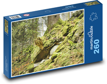 Les - mach, príroda Puzzle 260 dielikov - 41 x 28,7 cm 