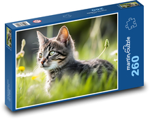 Cat - kitten, pet Puzzle 260 pieces - 41 x 28.7 cm