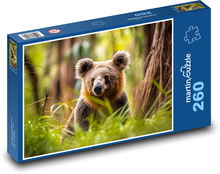 Koala - niedźwiedź, zwierzę Puzzle 260 elementów - 41x28,7 cm